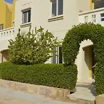 Lemon Tree Under The Blue Sky