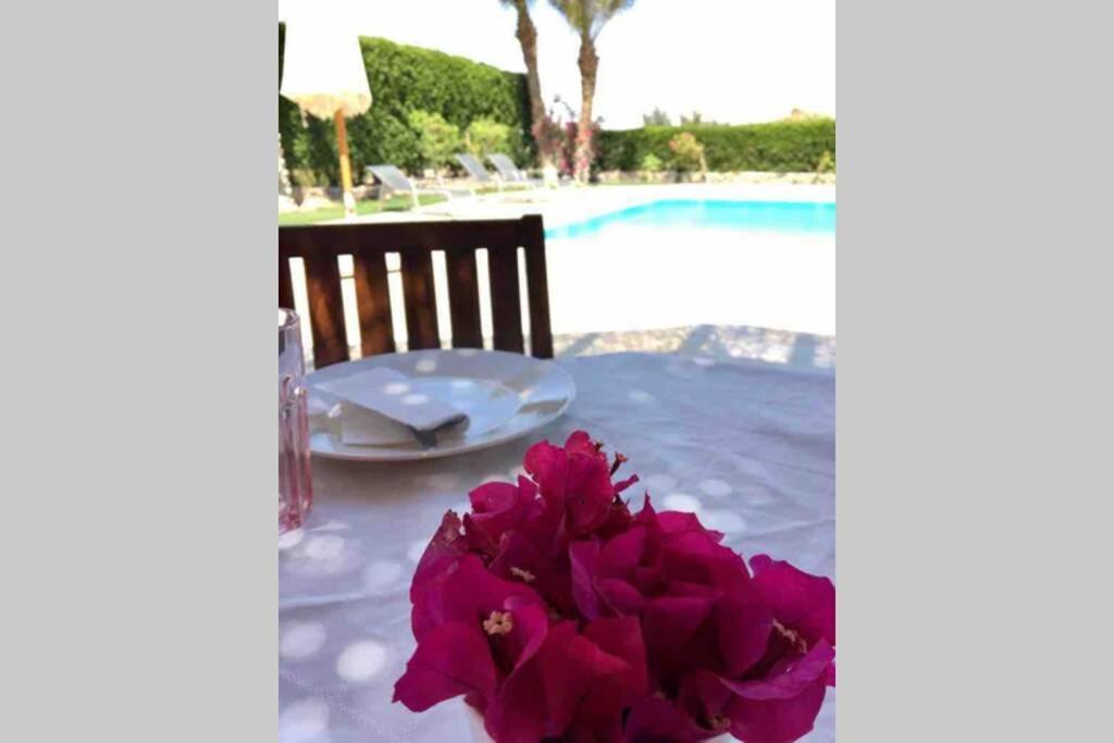 Villa With 5 Bedrooms & 4 Bathrooms - Private Heated Pool Hurghada