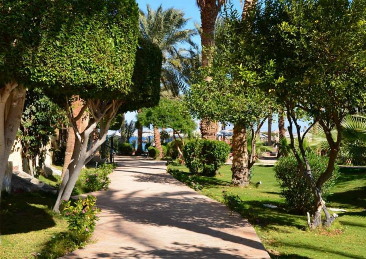 Elite Vip - With Sea View - Swimming Pool - Bbq Terrace - Near Apartamento Hurghada