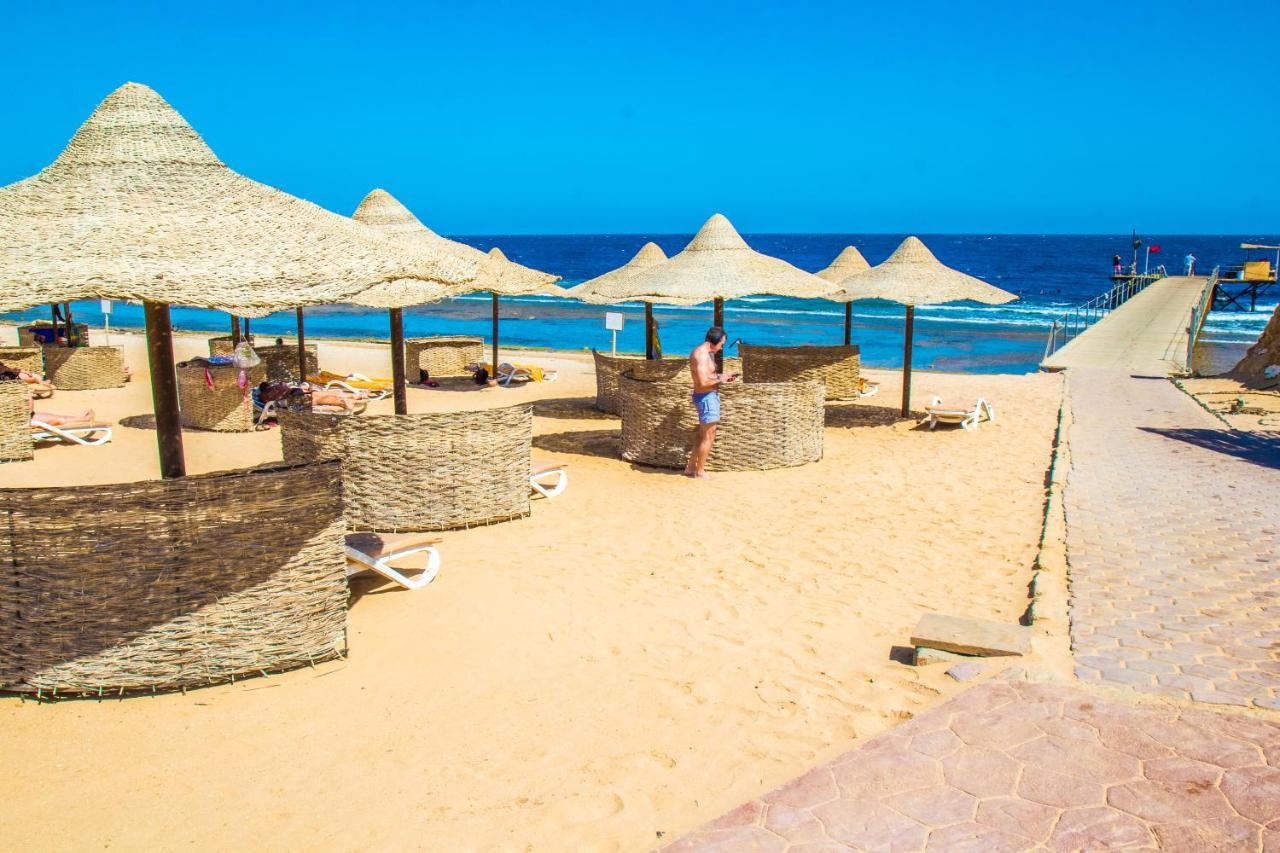 Viva Blue And Diving Sharm El Naga (adults Only) Resort 4*