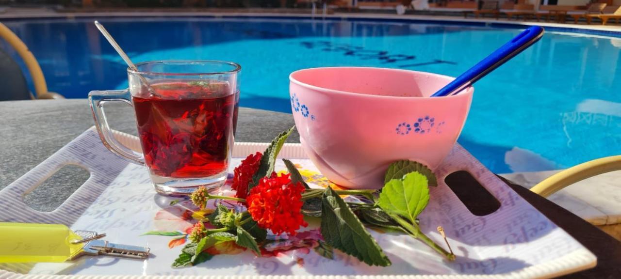Oasis Resort- Cozy & Lovely -b31-al Ahyaa - Hurghada