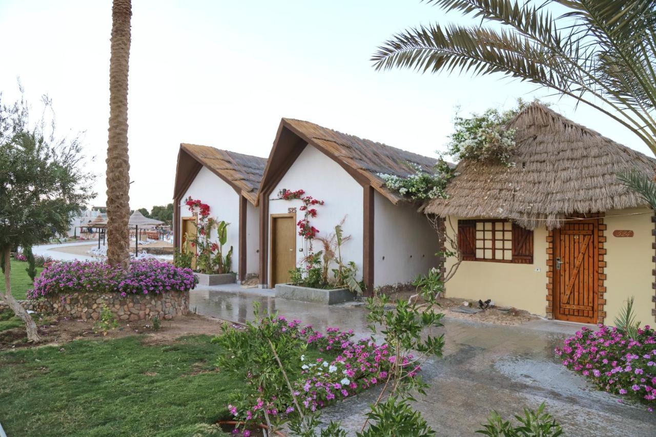 Panorama El Gouna Station touristique Hurghada