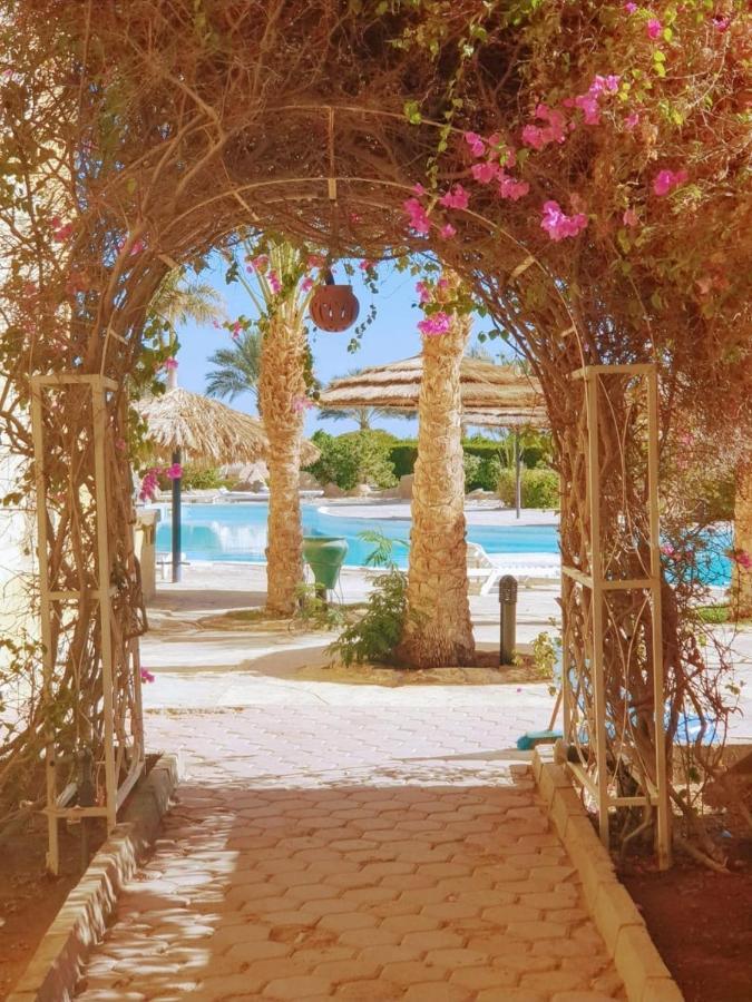 Palma Hurghda Hurghada