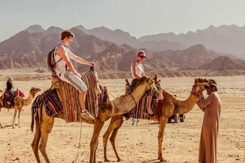 Timba Lounge Boutique Near El Gouna