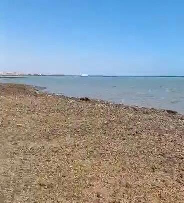 Fanadir Bay Resort