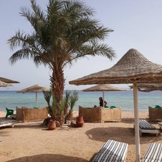 Appartement Town Center Elite Marina At The Sheraton Plaza