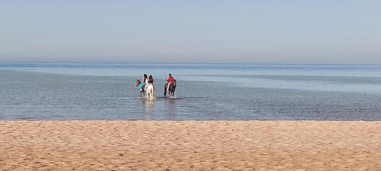Turquoise Hotspots 1-bed In Makadi Bay