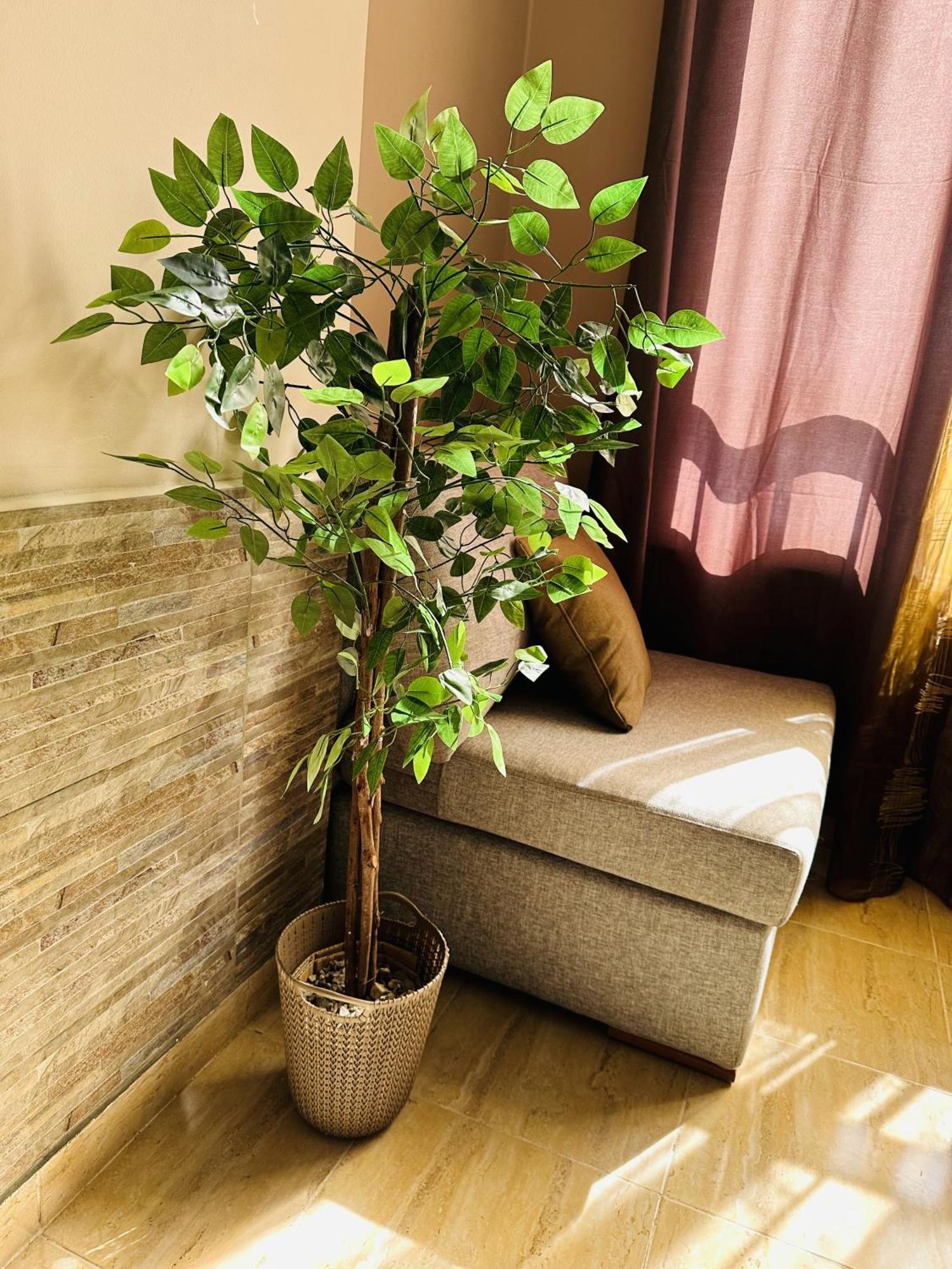 Appartement Solider Art Hurghada