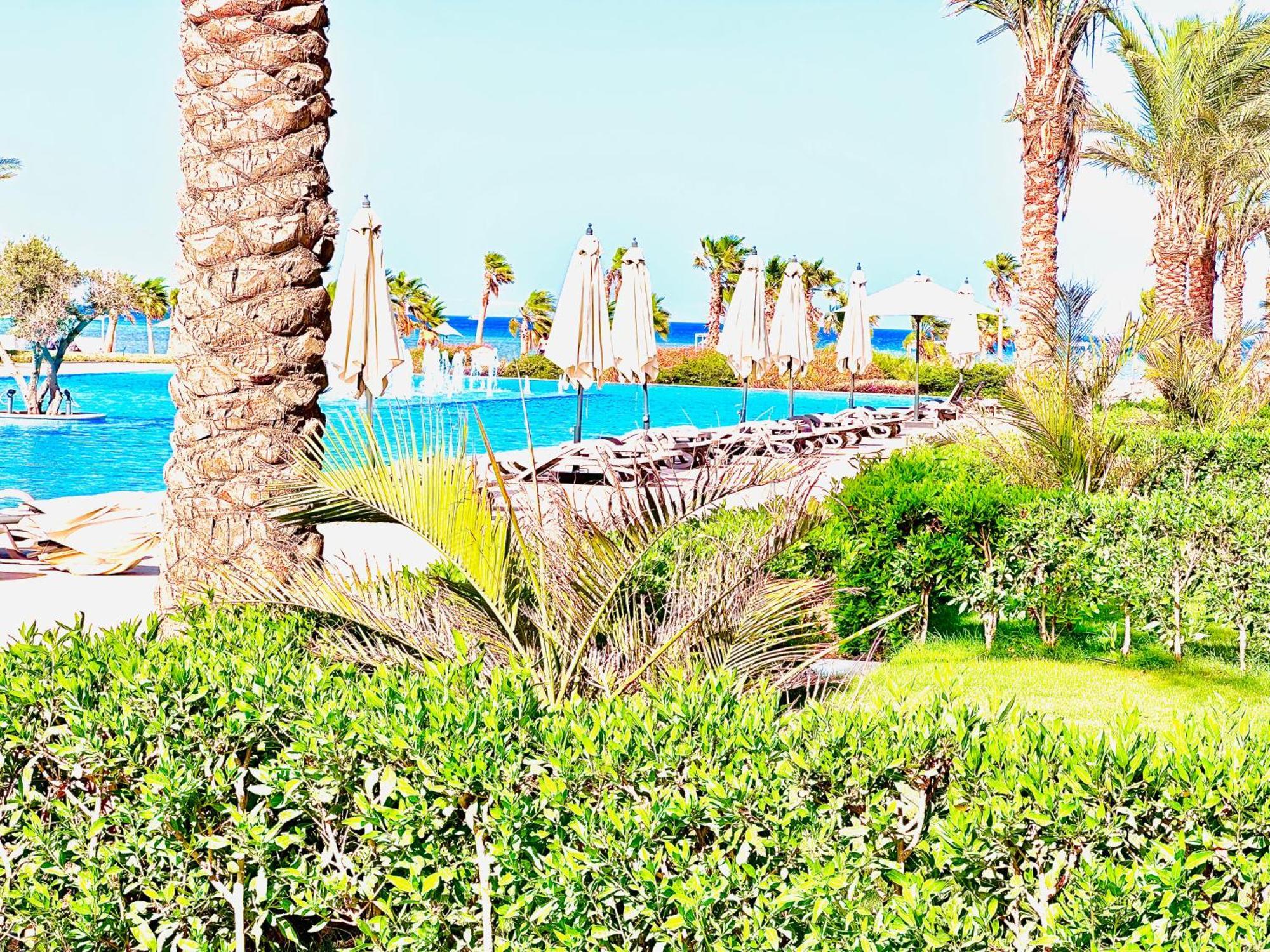 Luxury One Bedroom In El Gouna, Mangroovy