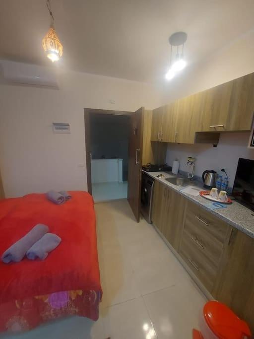 Studiowohnung Auf Poolebene Apartment