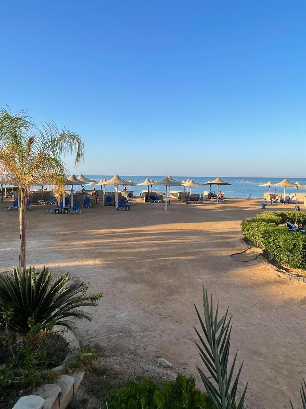 Turtles Paradise Hurghada
