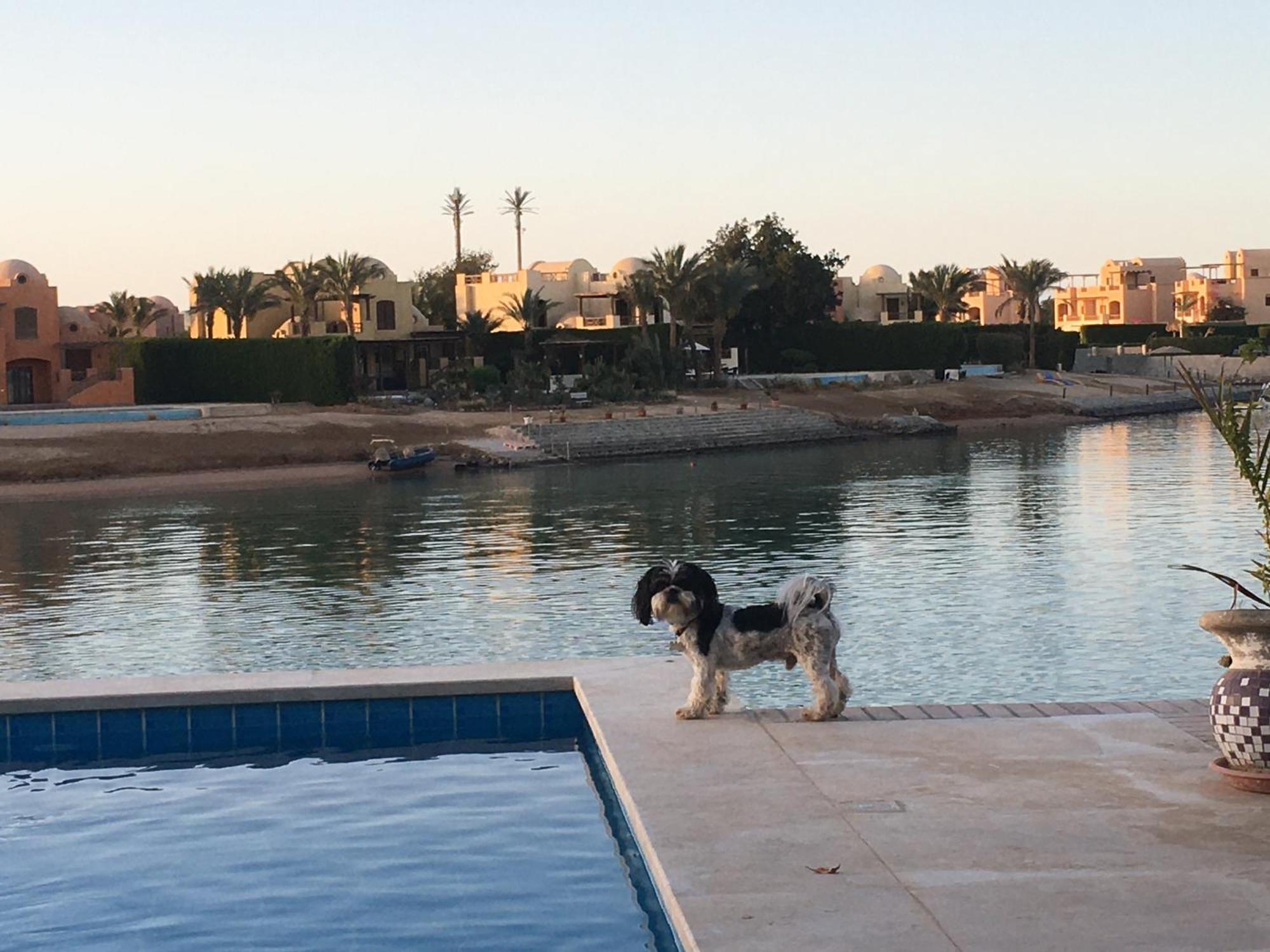 Charming Lagoon With Pool Egyptian Style -sabina 117 Pousada *