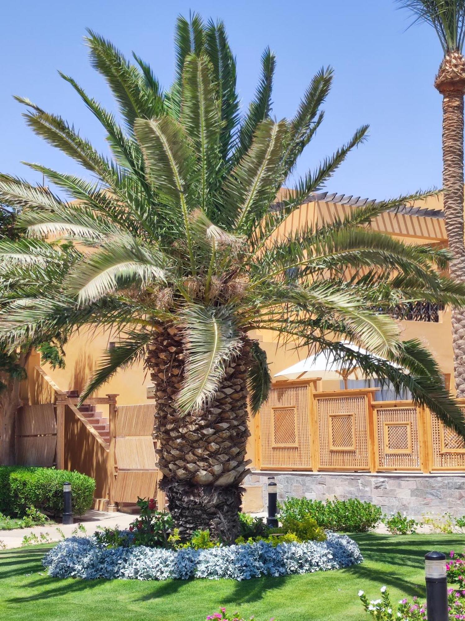 Stella Makadi 5* Appartement Hurghada