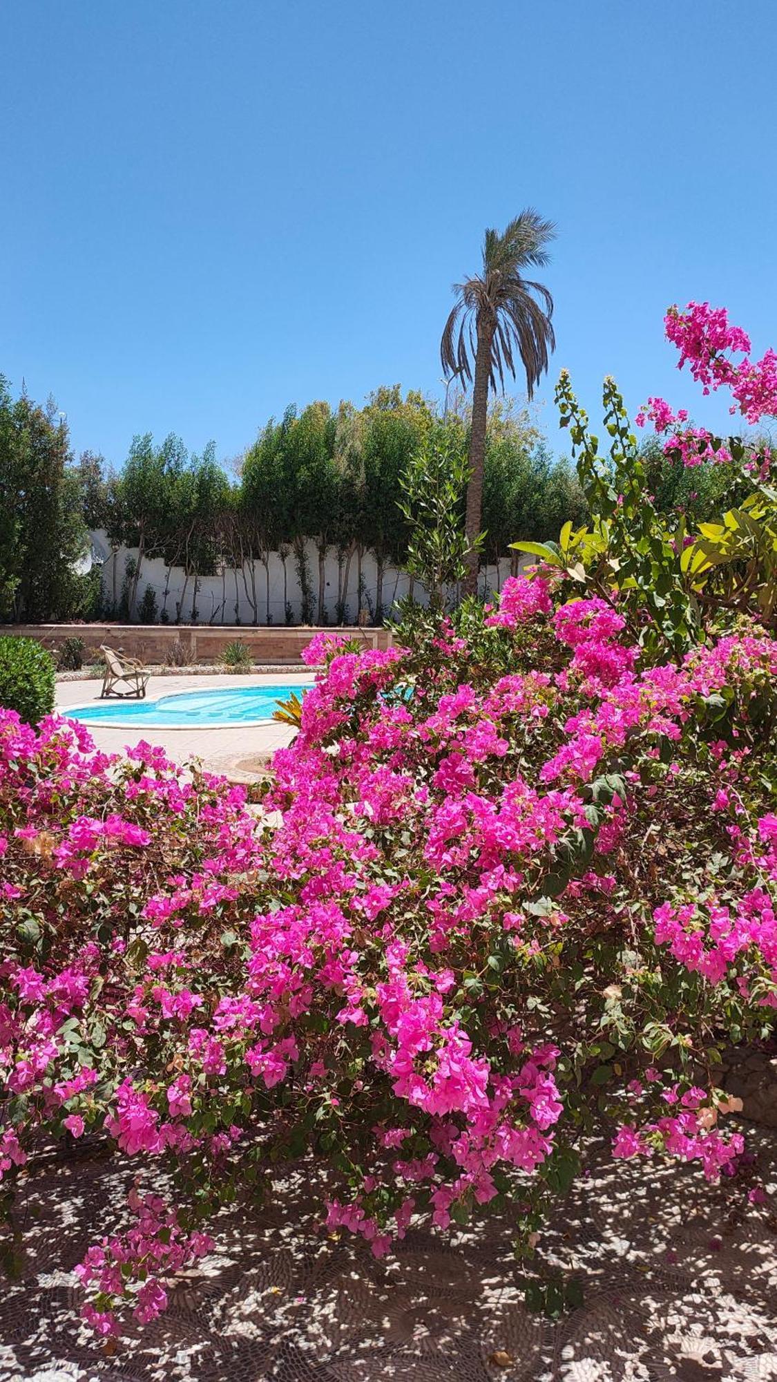Luxury Gardenhouse Pool Wifi *