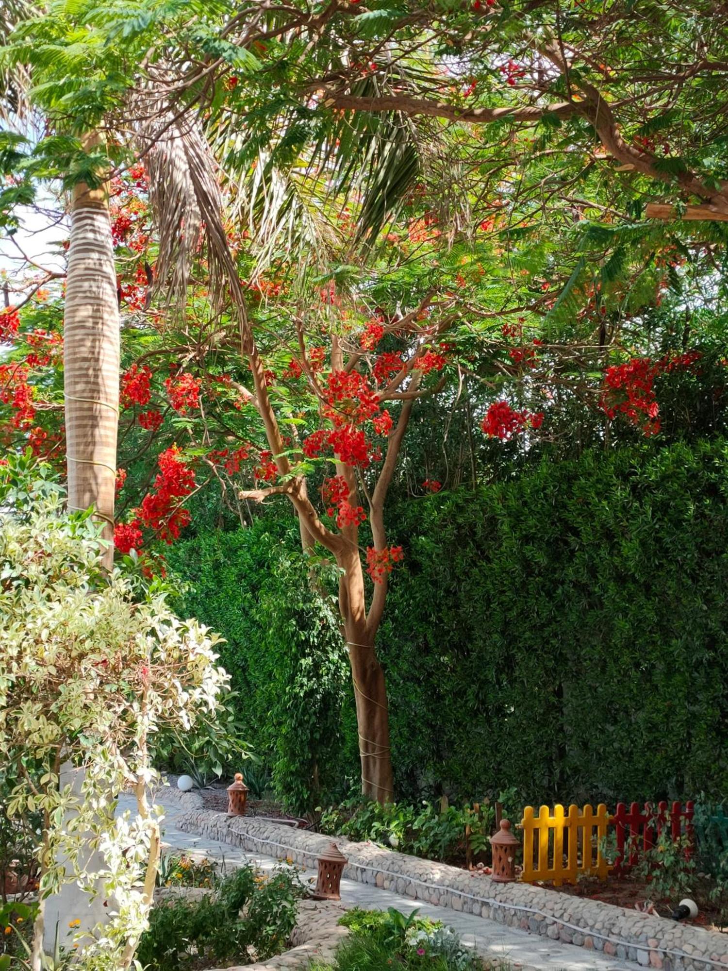 Apartment Luxury Gardenhouse Pool Wifi Hurghada