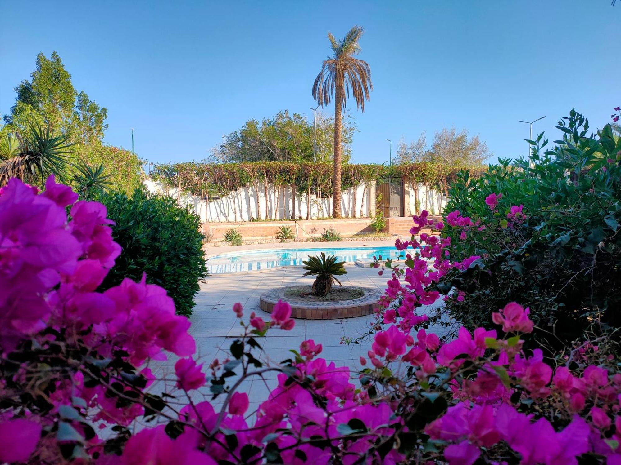Apartment Luxury Gardenhouse Pool Wifi *