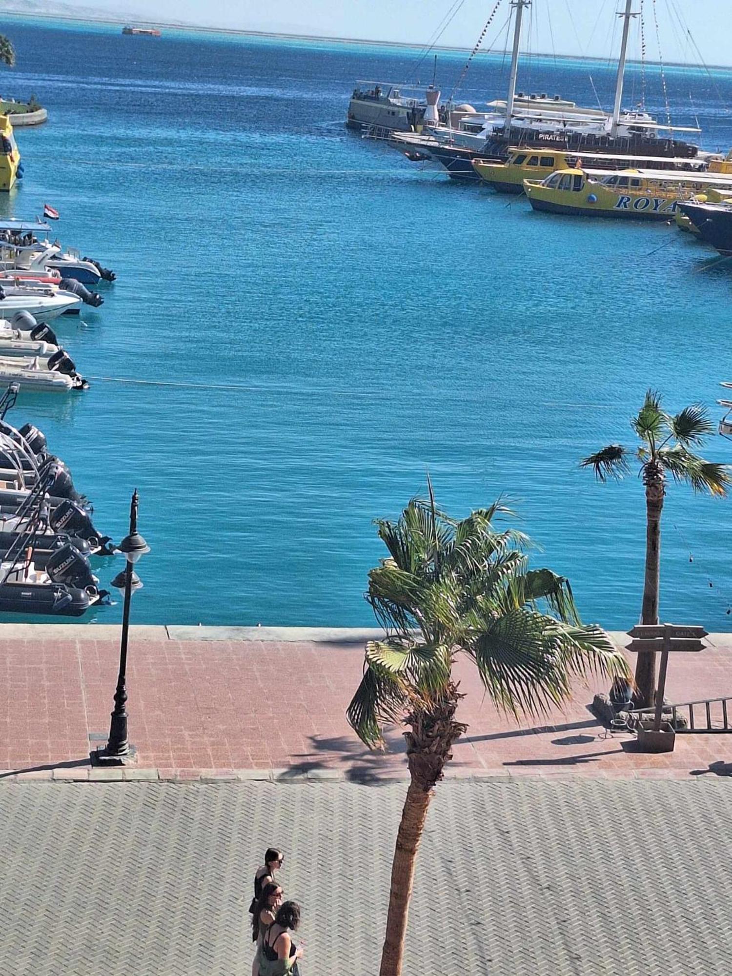 Apartment New Marina . Your Choice For Family *