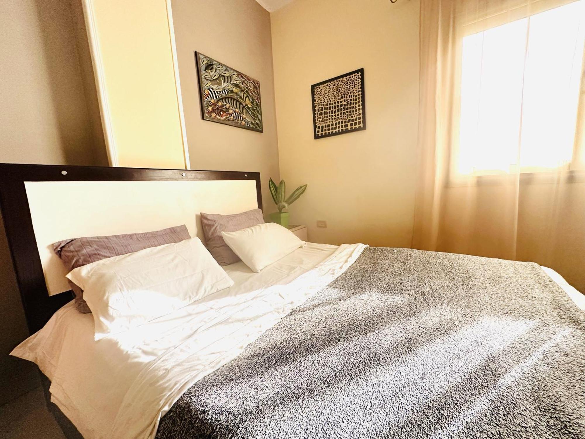Zebra Center Appartement *