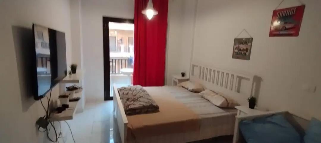 Appartement Turtles *
