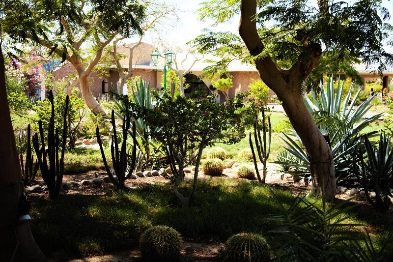 Resort Magawish Swiss 4*