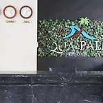 Aqua Palms Studio A210