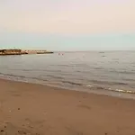 سيسيليا اتش