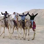 Petra Red Sea Safari