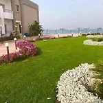 سيسيليا اتش