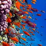 Hurghada