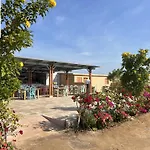 Princess Resort 462