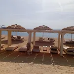 Haitham M Hafez