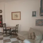 Downtown Room Near Gym Pool Beach Shops Walking Distance From All Entertainment And Shopping
