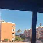 بلومار وادي دجله