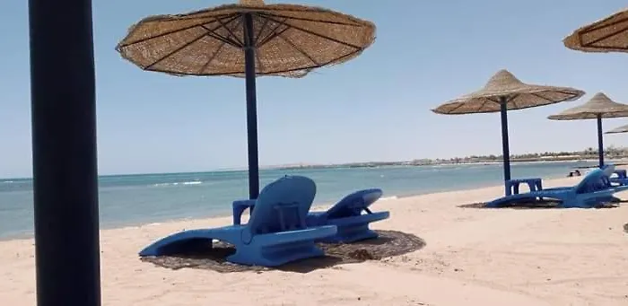 سيسيليا اتش