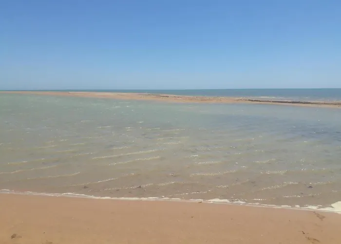 ستوديو كومباوند طيبة فيو