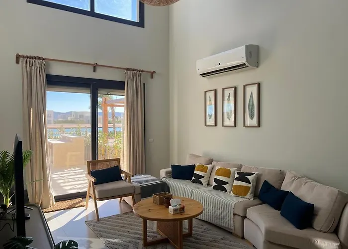 Bright Modern Brand New Shedwan Th