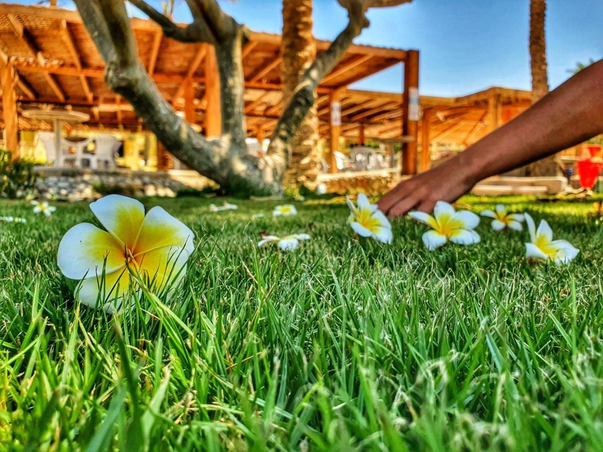 Palm - Families&couples Only Resort Hurghada