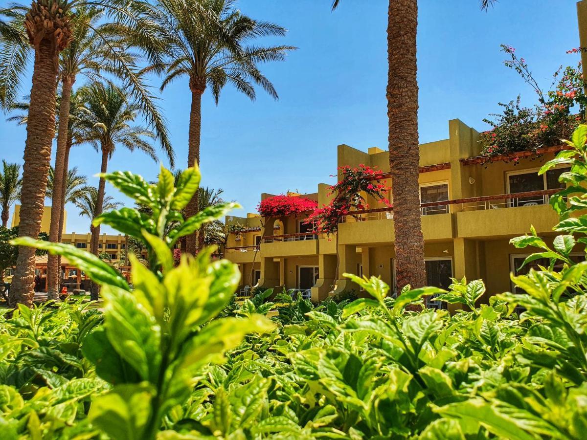 Palm - Families&couples Only Resort