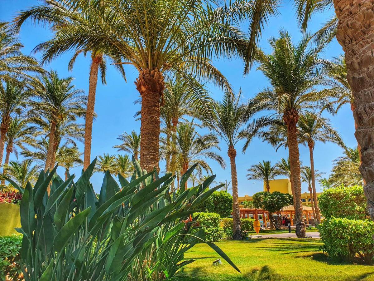 Palm - Families&couples Only 4*