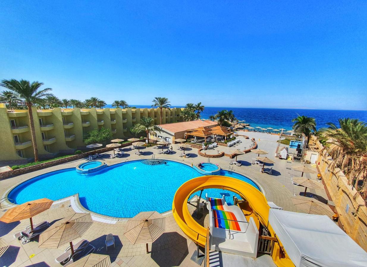 Palm - Families&couples Only Hurghada
