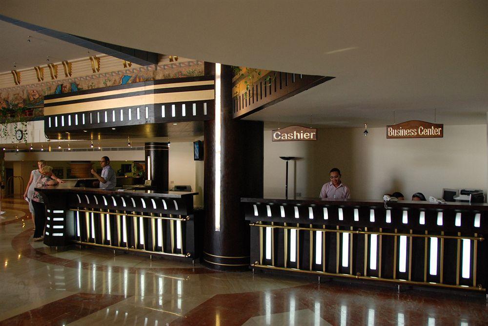 Premium Seagull Hurghada