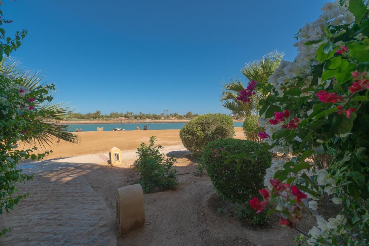 El Gouna 1 Bedroom West Golf Ground Floor Appartement