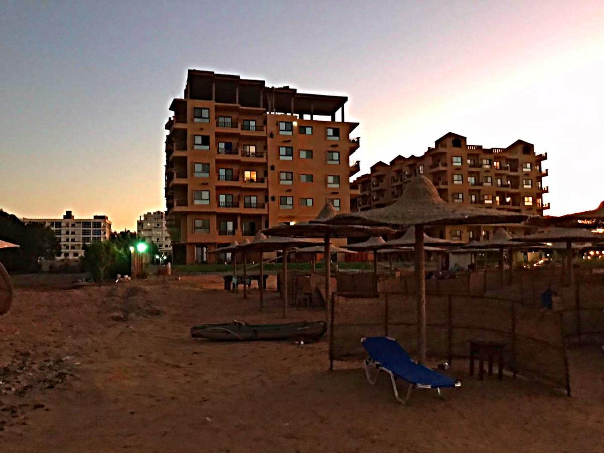 Turtle G4.10 Hurghada