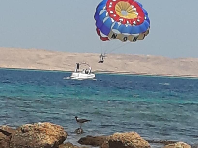 Apartman Sheraton Plaza 419 * Hurghada