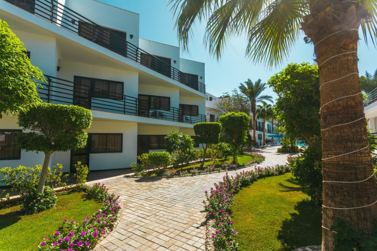 La Rosa Waves - Couple & Families Only Hotel Hurghada