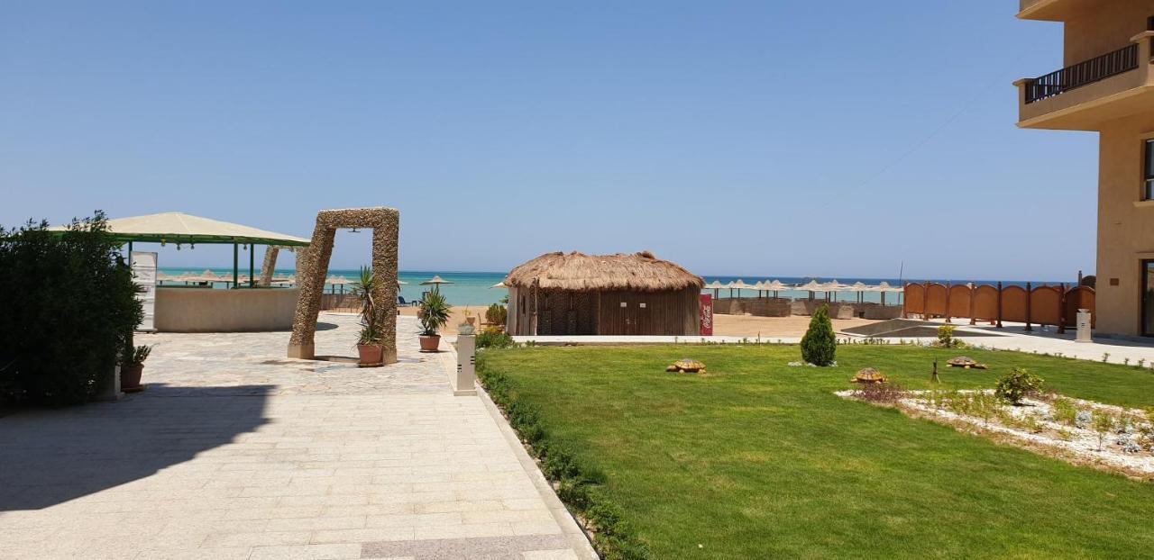 Turtle G4.10 Hurghada