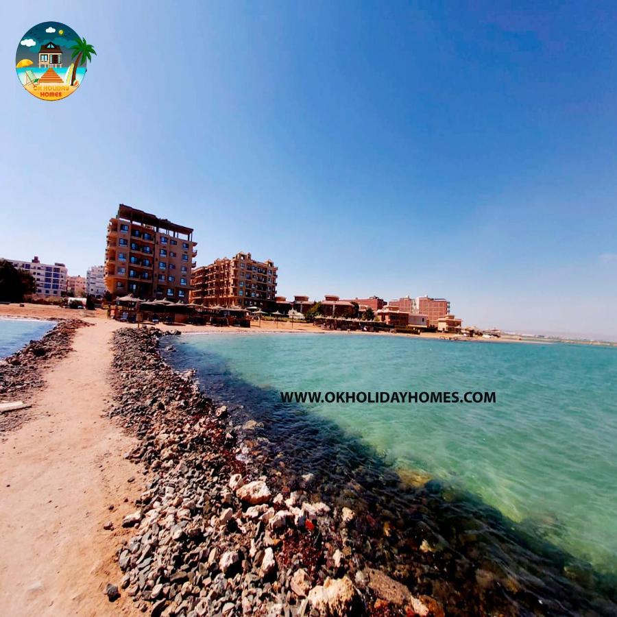 Turtle G4.10 * Hurghada