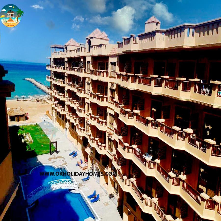 Turtle G4.10 * Hurghada