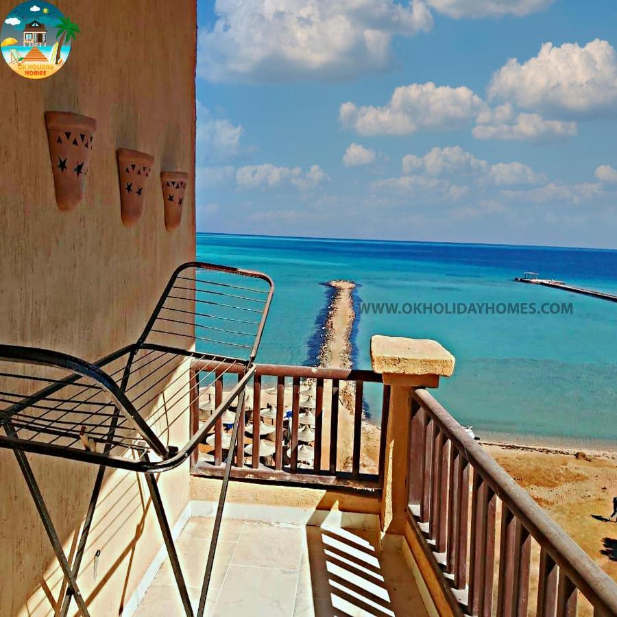 Turtle G4.10 * Hurghada