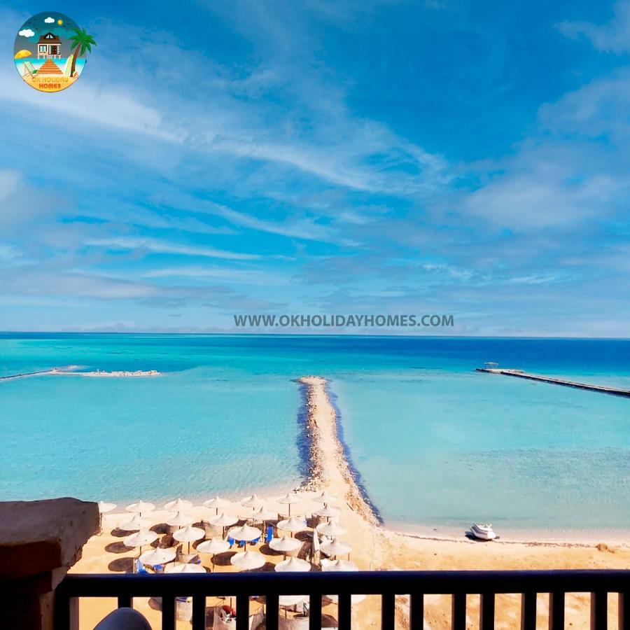 Turtle G4.10 Hurghada